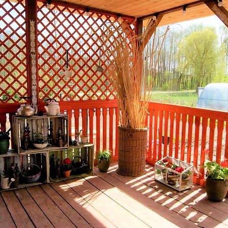 Losiowate Gospodarstwo Agroturystyczne Rybaki  المظهر الخارجي الصورة