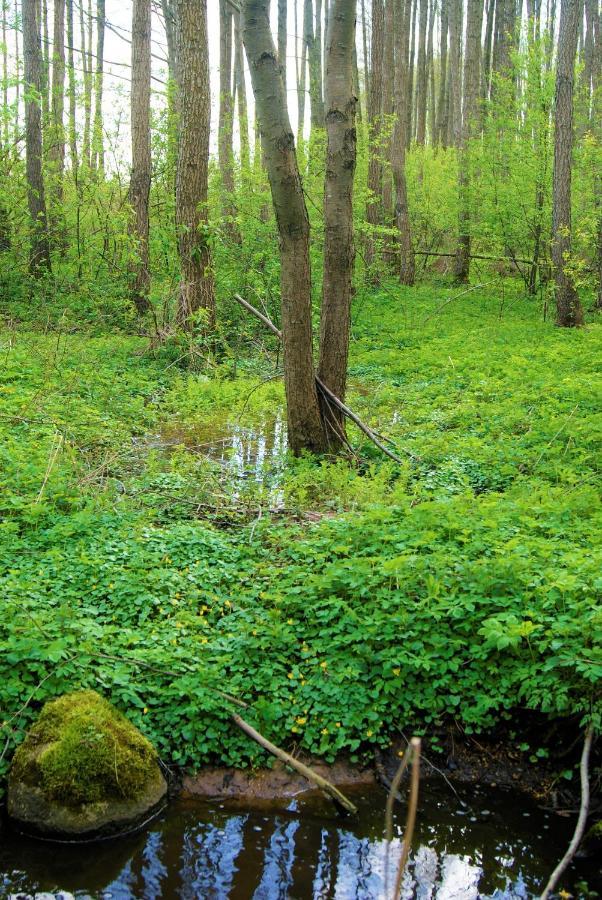 Losiowate Gospodarstwo Agroturystyczne Rybaki  المظهر الخارجي الصورة
