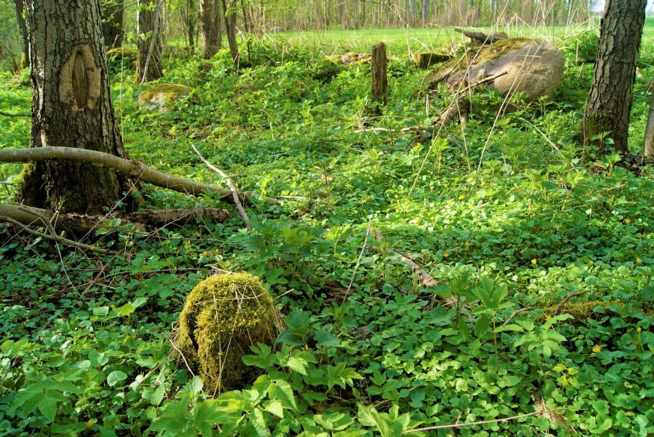 Losiowate Gospodarstwo Agroturystyczne Rybaki  المظهر الخارجي الصورة